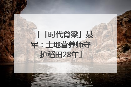 「时代脊梁」聂军：土地营养师守护稻田28年