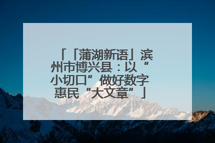 「蒲湖新语」滨州市博兴县：以“小切口”做好数字惠民“大文章”