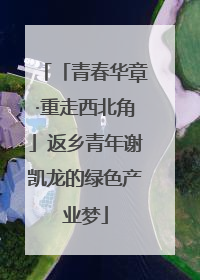 「青春华章·重走西北角」返乡青年谢凯龙的绿色产业梦