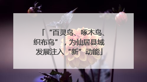 “百灵鸟、啄木鸟、织布鸟”，为仙居县域发展注入“新”动能