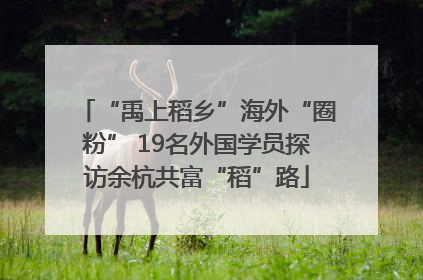 “禹上稻乡”海外“圈粉” 19名外国学员探访余杭共富“稻”路