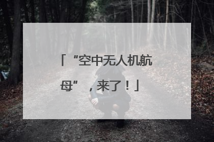 “空中无人机航母”，来了！