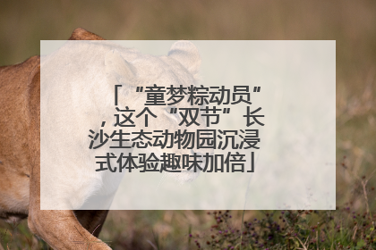 “童梦粽动员”，这个“双节”长沙生态动物园沉浸式体验趣味加倍