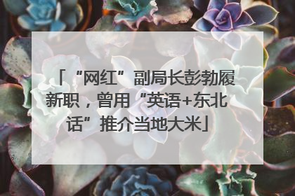 “网红”副局长彭勃履新职，曾用“英语+东北话”推介当地大米