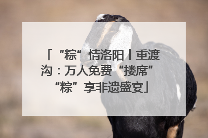 “粽”情洛阳丨重渡沟：万人免费“搂席” “粽”享非遗盛宴
