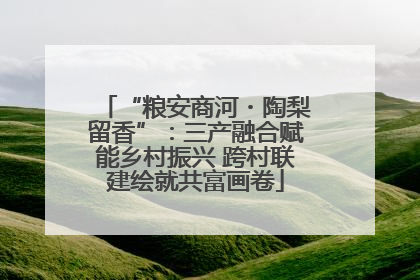 “粮安商河・陶梨留香”：三产融合赋能乡村振兴 跨村联建绘就共富画卷