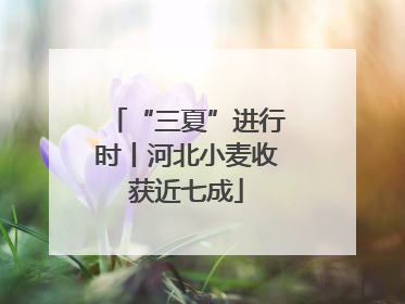 “三夏”进行时丨河北小麦收获近七成