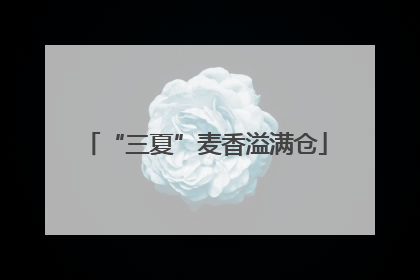 “三夏”麦香溢满仓
