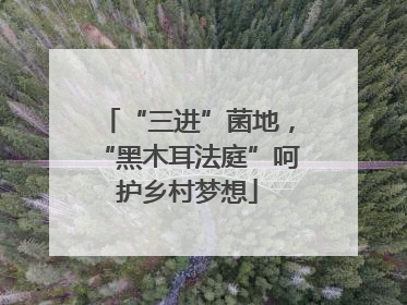 “三进”菌地，“黑木耳法庭”呵护乡村梦想
