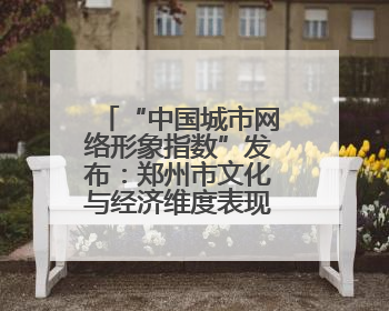 “中国城市网络形象指数”发布：郑州市文化与经济维度表现出色