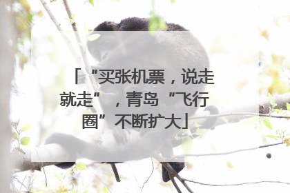 “买张机票，说走就走”，青岛“飞行圈”不断扩大