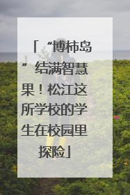“博柿岛”结满智慧果！松江这所学校的学生在校园里探险