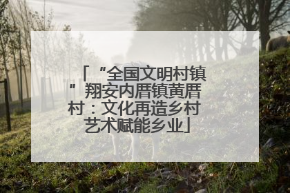 “全国文明村镇”翔安内厝镇黄厝村：文化再造乡村 艺术赋能乡业