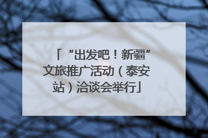 “出发吧！新疆”文旅推广活动（泰安站）洽谈会举行