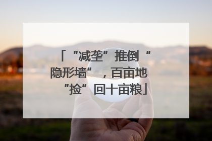 “减垄”推倒“隐形墙”，百亩地“捡”回十亩粮