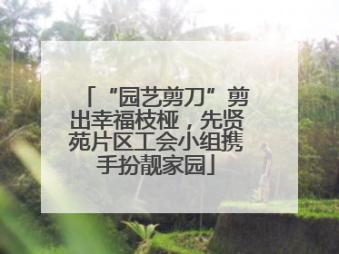“园艺剪刀”剪出幸福枝桠，先贤苑片区工会小组携手扮靓家园