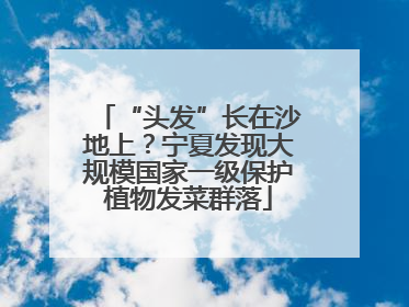 “头发”长在沙地上？宁夏发现大规模国家一级保护植物发菜群落
