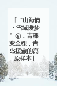 “山海情・雪域援梦”⑧：青稞变金稞，青岛援藏的高原样本