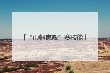 “巾帼家政”赛技能