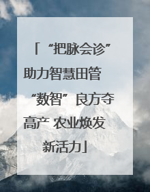 “把脉会诊”助力智慧田管 “数智”良方夺高产 农业焕发新活力