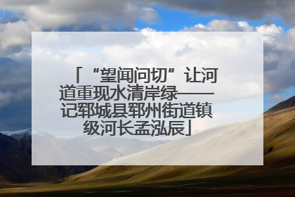 “望闻问切”让河道重现水清岸绿——记郓城县郓州街道镇级河长孟泓辰