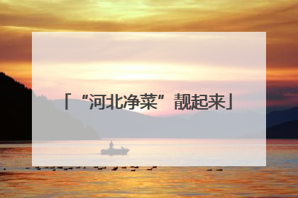 “河北净菜”靓起来
