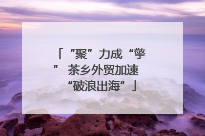 “聚”力成“擎” 茶乡外贸加速“破浪出海”
