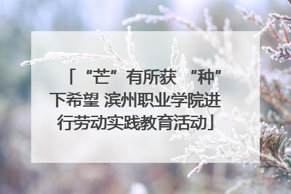 “芒”有所获 “种”下希望 滨州职业学院进行劳动实践教育活动