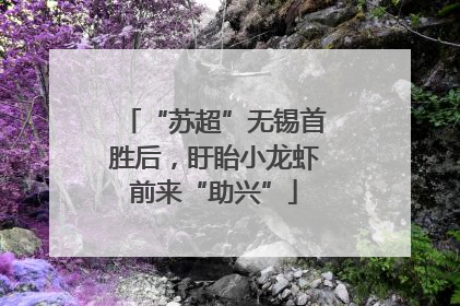 “苏超”无锡首胜后，盱眙小龙虾前来“助兴”