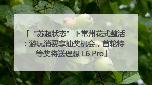 “苏超状态”下常州花式整活：游玩消费享抽奖机会，首轮特等奖将送理想 L6 Pro