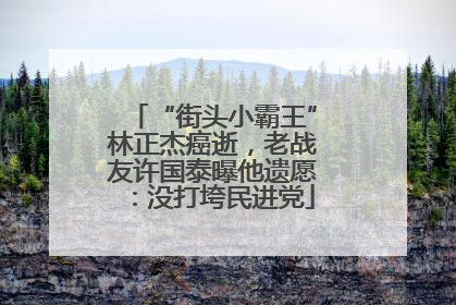 “街头小霸王”林正杰癌逝，老战友许国泰曝他遗愿：没打垮民进党