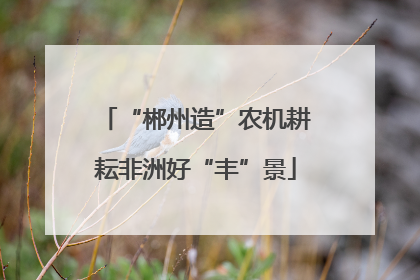 “郴州造”农机耕耘非洲好“丰”景