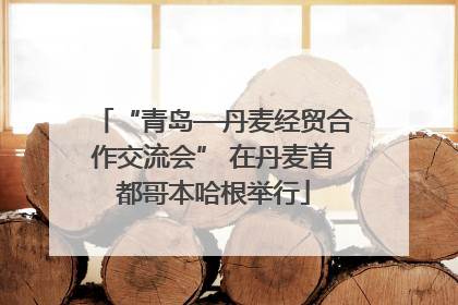 “青岛—丹麦经贸合作交流会” 在丹麦首都哥本哈根举行