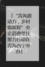 “青海源动力，乡村焕新程”央企消费帮扶聚力行动在青海西宁举办