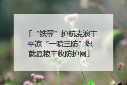 “铁翼”护航麦浪丰 平凉“一喷三防”织就夏粮丰收防护网
