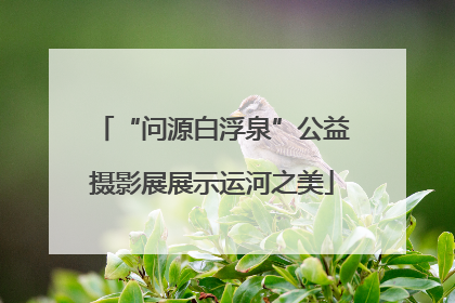 “问源白浮泉”公益摄影展展示运河之美