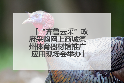 “齐鲁云采”政府采购网上商城德州体育器材馆推广应用现场会举办