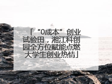 “0成本”创业试验田，湘江科创园全方位赋能点燃大学生创业热情