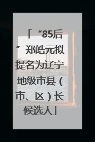 “85后”郑皓元拟提名为辽宁地级市县（市、区）长候选人