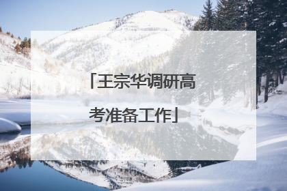 王宗华调研高考准备工作