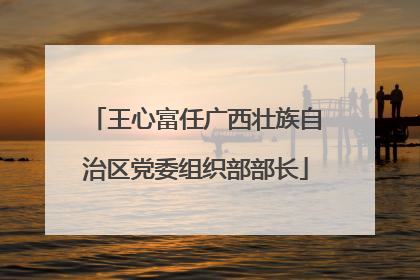 王心富任广西壮族自治区党委组织部部长