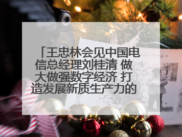 王忠林会见中国电信总经理刘桂清 做大做强数字经济 打造发展新质生产力的强劲引擎