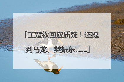 王楚钦回应质疑！还提到马龙、樊振东……