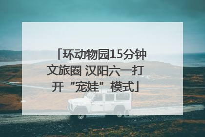 环动物园15分钟文旅圈 汉阳六一打开“宠娃”模式