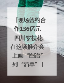 现场签约合作136亿元 四川攀枝花在这场推介会上画“图谱”列“清单”