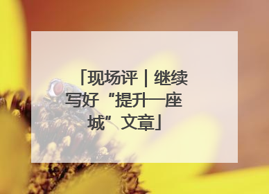 现场评｜继续写好“提升一座城”文章