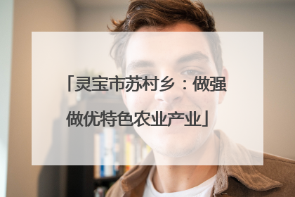 灵宝市苏村乡：做强做优特色农业产业