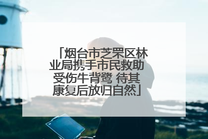 烟台市芝罘区林业局携手市民救助受伤牛背鹭 待其康复后放归自然