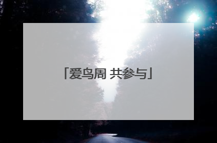 爱鸟周 共参与