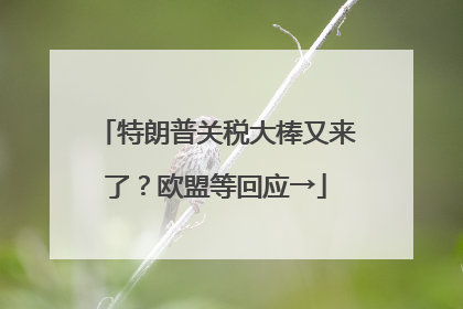 特朗普关税大棒又来了？欧盟等回应→